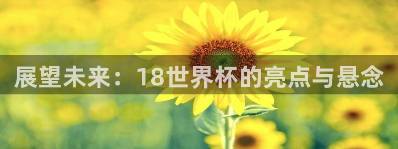 世界杯比赛直播:展望未来:18世界杯的亮点与悬念