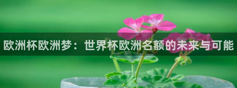 今天所有足球赛程表:欧洲杯欧洲梦:世界杯欧洲名额的未来与可能