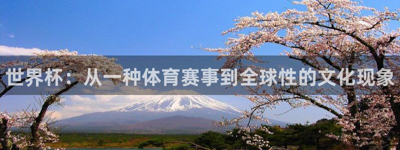 2026足球世界杯赛程时间表:世界杯:从一种体育赛事到全球性的文化现象