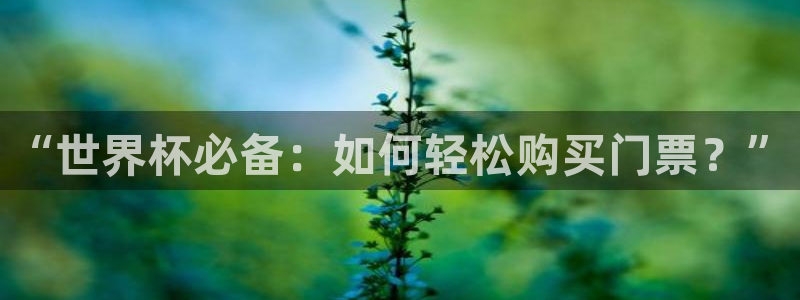世界杯欧洲区预选赛赛程:“世界杯必备:如何轻松购买门票?”