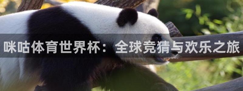 世界杯球队:咪咕体育世界杯:全球竞猜与欢乐之旅