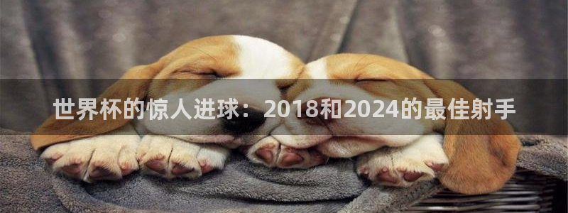 2026世界杯买球:世界杯的惊人进球:2018和2024的最佳射手